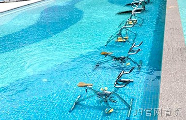 漳州菲麦斯健康科技有限公司